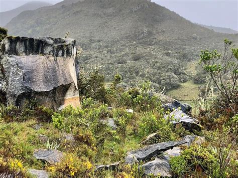 Mongui Travels - 2021 What to Know Before You Go (with Photos ...