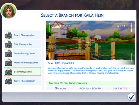 Image result for Sims 4 Photography Mod