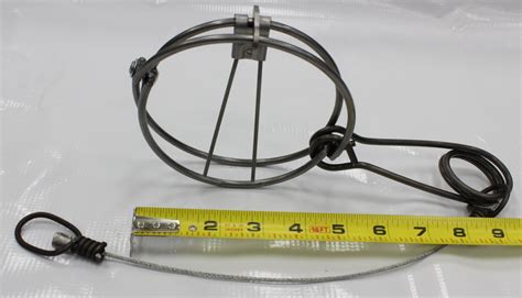 Body Grip Trap Modifications 的图像结果