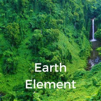 Element Earth Tree 的图像结果