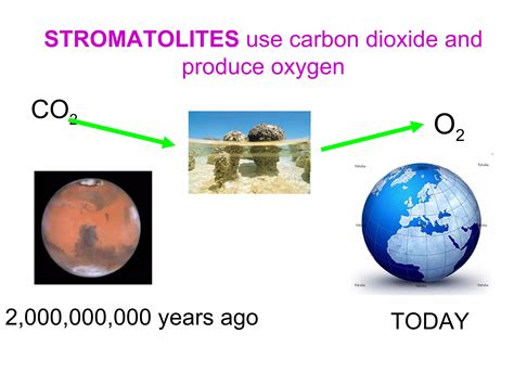 How Did Life First Form 的图像结果