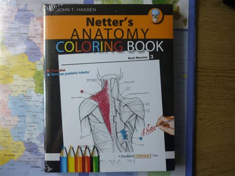 Buy Netter's Anatomy Coloring Book: with Student Consult Access (Netter ...