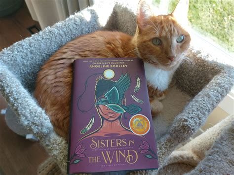 Sisters in the Wind by Angeline Boulley – Bibliokitty