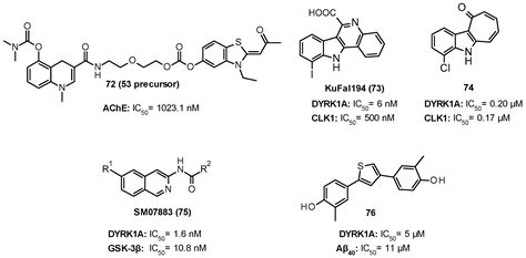 GSK-3β, FYN, and DYRK1A: Master Regulators in Neurodegenerative Pathways