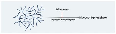 Anti-Diabetic Potential of Plant-Based Pentacyclic Triterpene ...