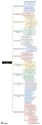 Planning an Android App Project Mind Map - Class 8 PDF Download
