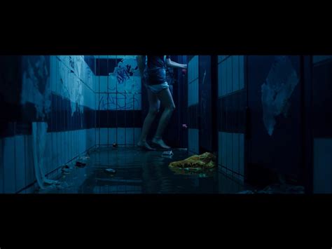 Wetlands (2013)