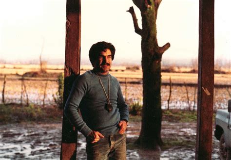 Yadollah Samadi Gallery – Artebox