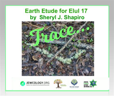 Image result for Example of Trace