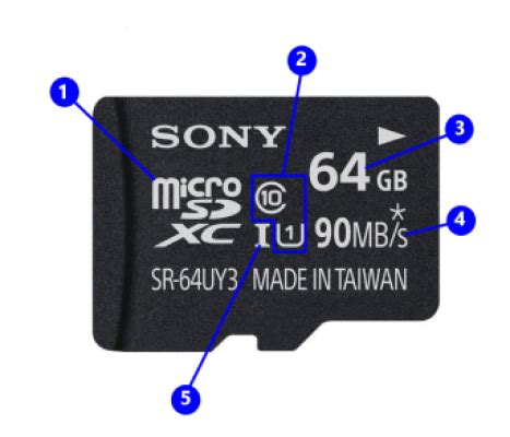 Comprehensive Guide to SD and CFexpress Memory Cards for Photography ...