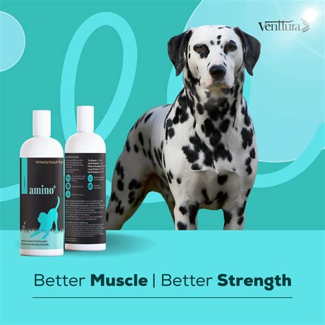 Dog Amino Acid Supplement | Amino+ for Muscle & Strength