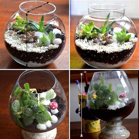 Buy Terrariums online from Nurserylive at lowest price.