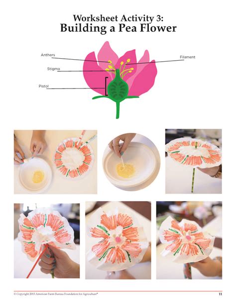 Free, easy flower project! | Elementary school activities, School activities, Garden activities
