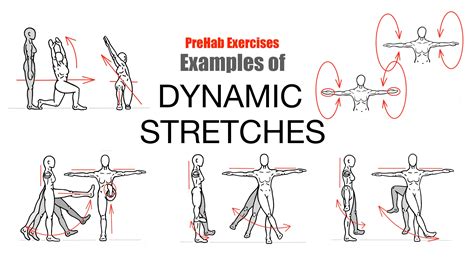 Stretching Exercises Examples 的图像结果