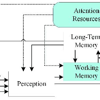 The Information Processing Model Three Memory Systems 的图像结果