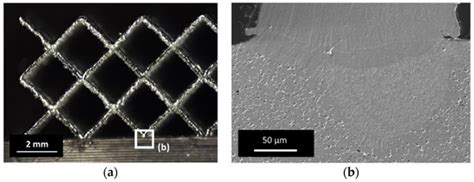 Fused Filament Fabrication of NiTi Components and Hybridization with ...
