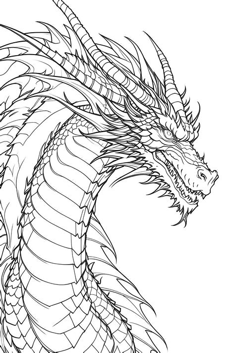 Dragon Outline Drawing