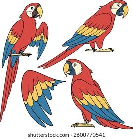 Image result for Color Combinations 3 Colors