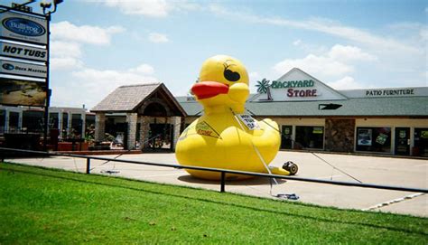 Backyard Store 的图像结果