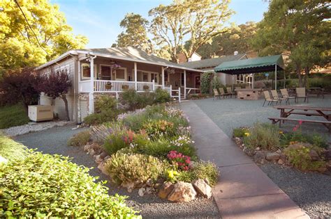 Uppers (CNS Stimulants) - Mountain Vista Farm