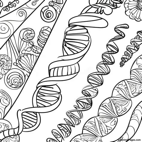 DNA Coloring 的图像结果
