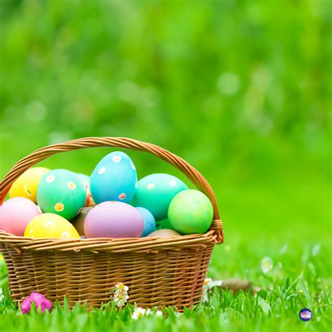 Spring Activities for CNA & PCT Training Archives - CNA Resources by ...