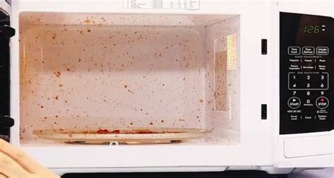 Image result for Why Meat Explode in Microwave