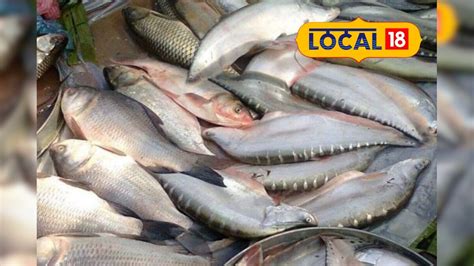 Fish: ডাঙৰ মাছ নে সৰু মাছ খাব? আপোনাৰ স্বাস্থ্যৰ বাবে উপকাৰী কোনবিলাক ...