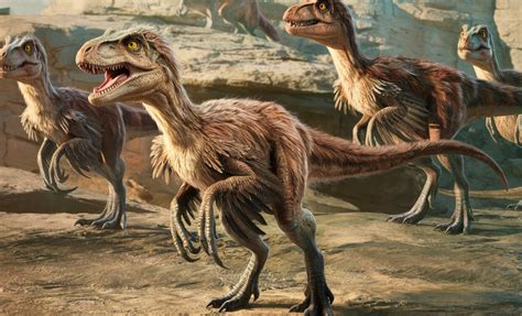 Velociraptor One Of The Most Intelligent Dinosaurs That