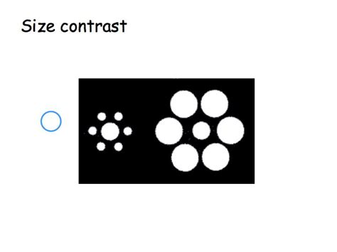 Image result for Depth Perception Circle Test