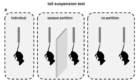 Image result for Writing a Lab Report Introduction