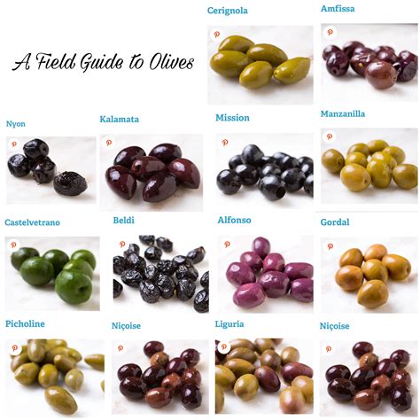 How do olives grow with pictures of olive growth cycle – Artofit