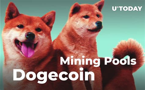 Dogecoin Mining Pool 的图像结果