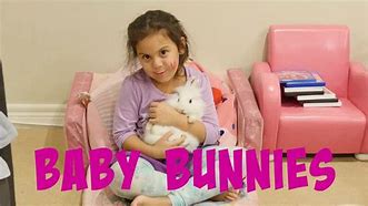 Image result for Wild White Baby Bunnies