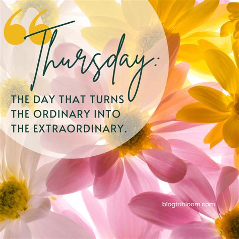 55 Thursday Quotes and Images for for Every Thursday Mood