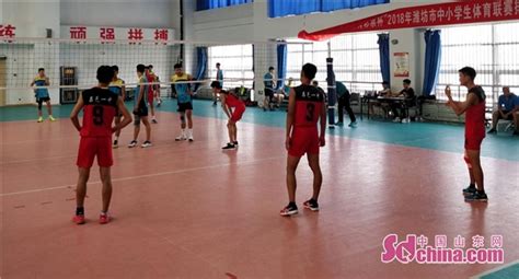 2018年潍坊市中小学生体育联赛排球比赛开赛_中国山东网_潍坊