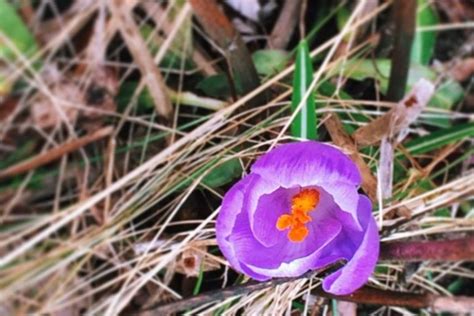 Image result for Genetic Algorithm Optimisation