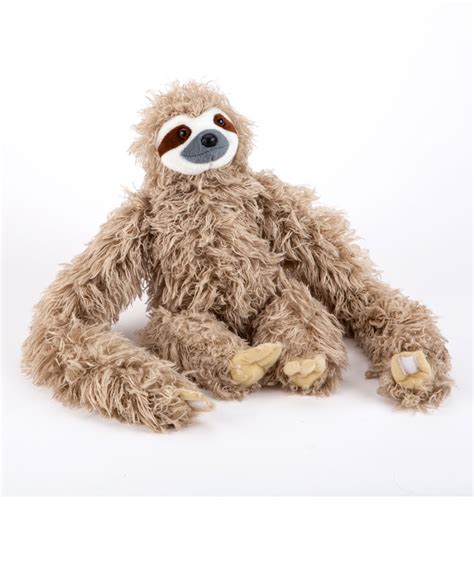 Image result for Hanging Three Toed Sloth