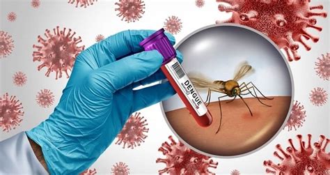 बच्चे को Dengue के हैं ये लक्षण ! ये 3 गलतियां बिलकुल ना करें Parents ...