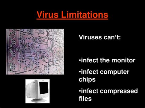 Image result for How Do Viruses Work