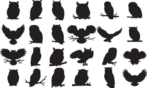 Owl silhouettes set of different owls 54121777 Vector Art at Vecteezy