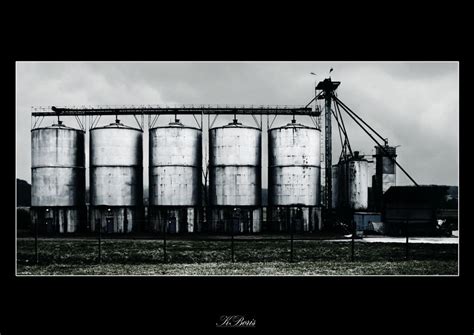 Alien Art Farm 的图像结果