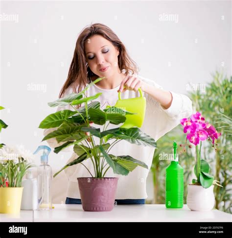 Master The Art Of How To Look After Plants: A Simple Guide