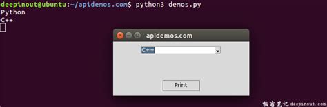 Python Tkinter ComboBox 的图像结果