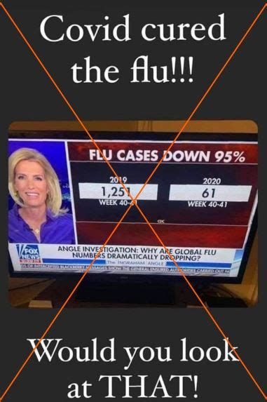 Donald Trump Jr Falsely Claims 'Almost 0' Americans Died Of Flu In 2020 ...