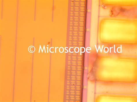Microscope World Blog: Microscope Camera Comparison