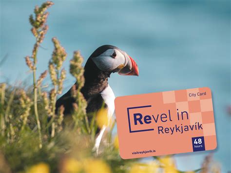 Reykjavik's Population Through the Ages | Perlan