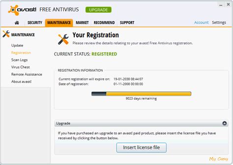 Image result for Avast License File