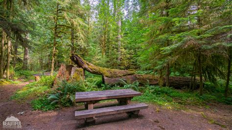 Iron Pot Creek Campground at Darrel Ferreira blog
