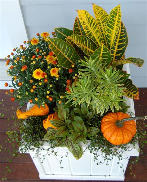 The Best Fall Container Plants for Gorgeous Autumn Planters